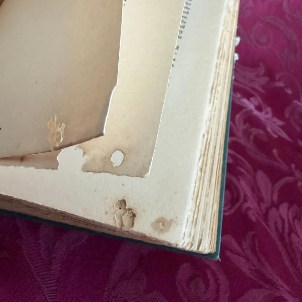 1928 The Empress of Hearts by E. Barrington, Vintage Book, Marie Antoinette
